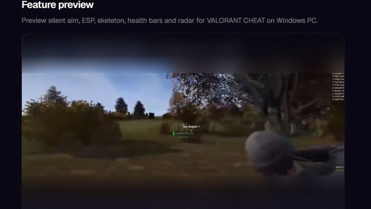valorant cheat guide screenshot — undetected status